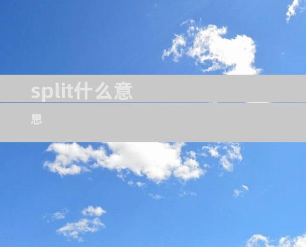 split什么意思