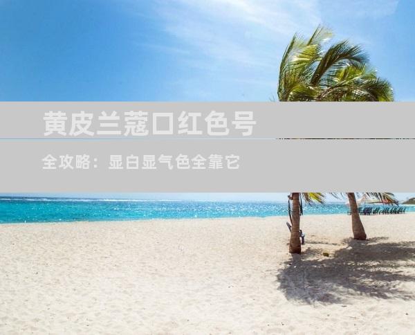 黄皮兰蔻口红色号全攻略：显白显气色全靠它
